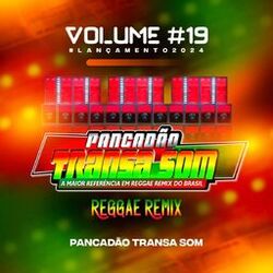 Cover of PancadÃ£o Transa Som, Vol. 19