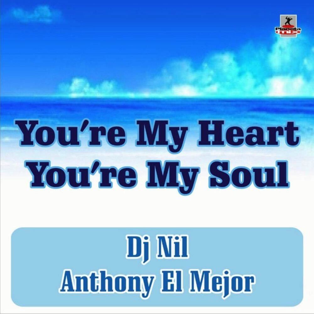 Picture of You're My Heart You're My Soul