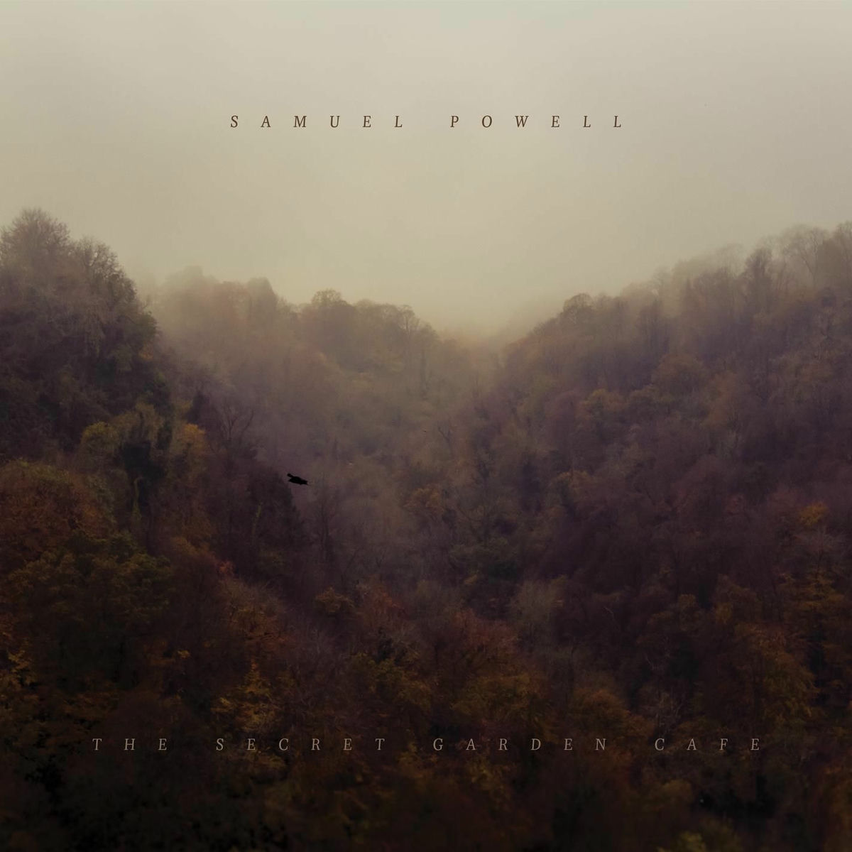 Album cover of The Secret Garden Cafe