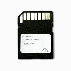 Cover of JOY (God Only Knows)