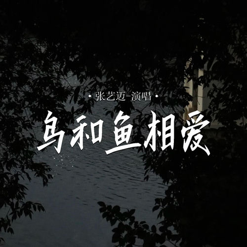 鸟和鱼相爱