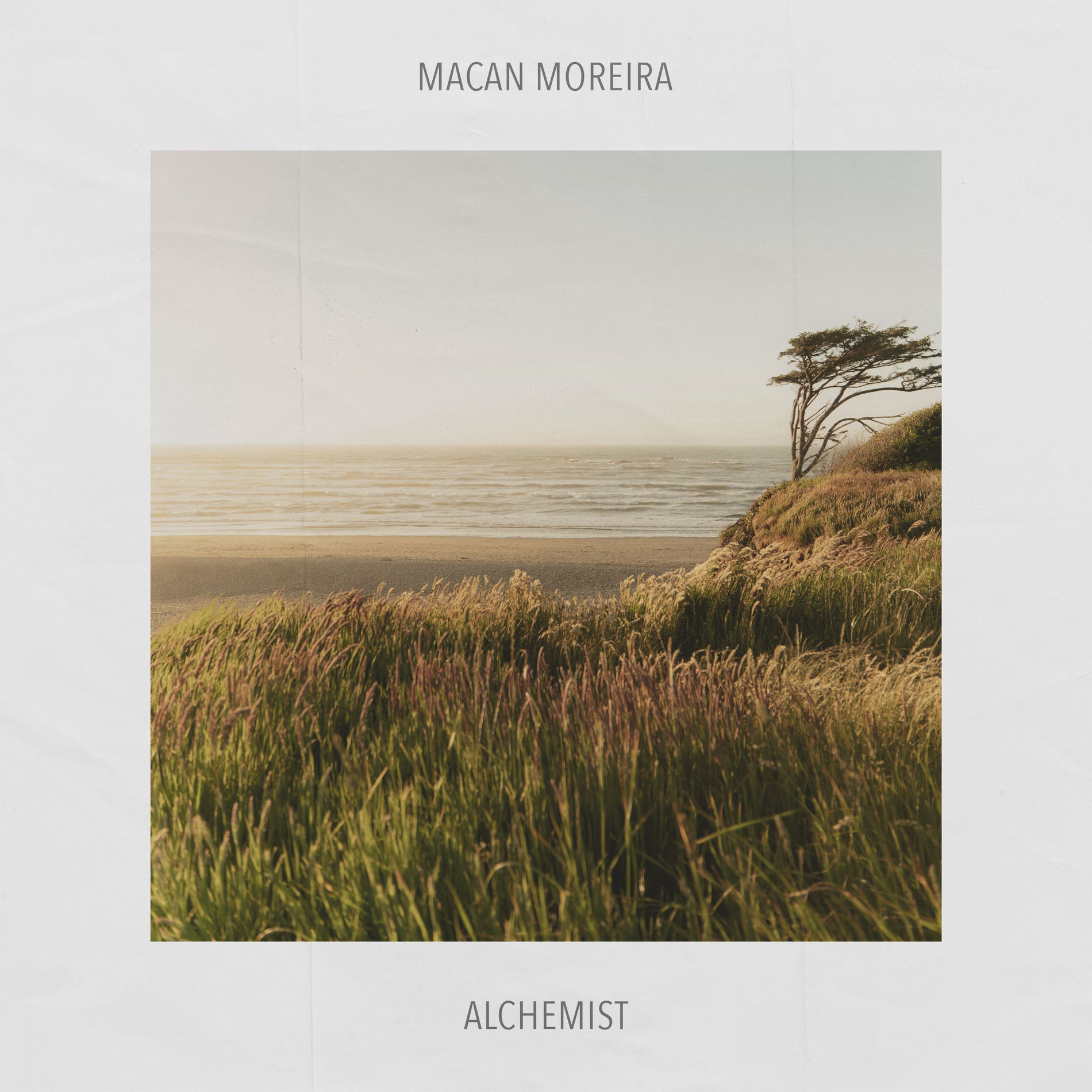 Album cover of Alchemist