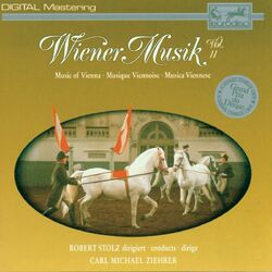 Cover of Wiener Musik Vol. 11