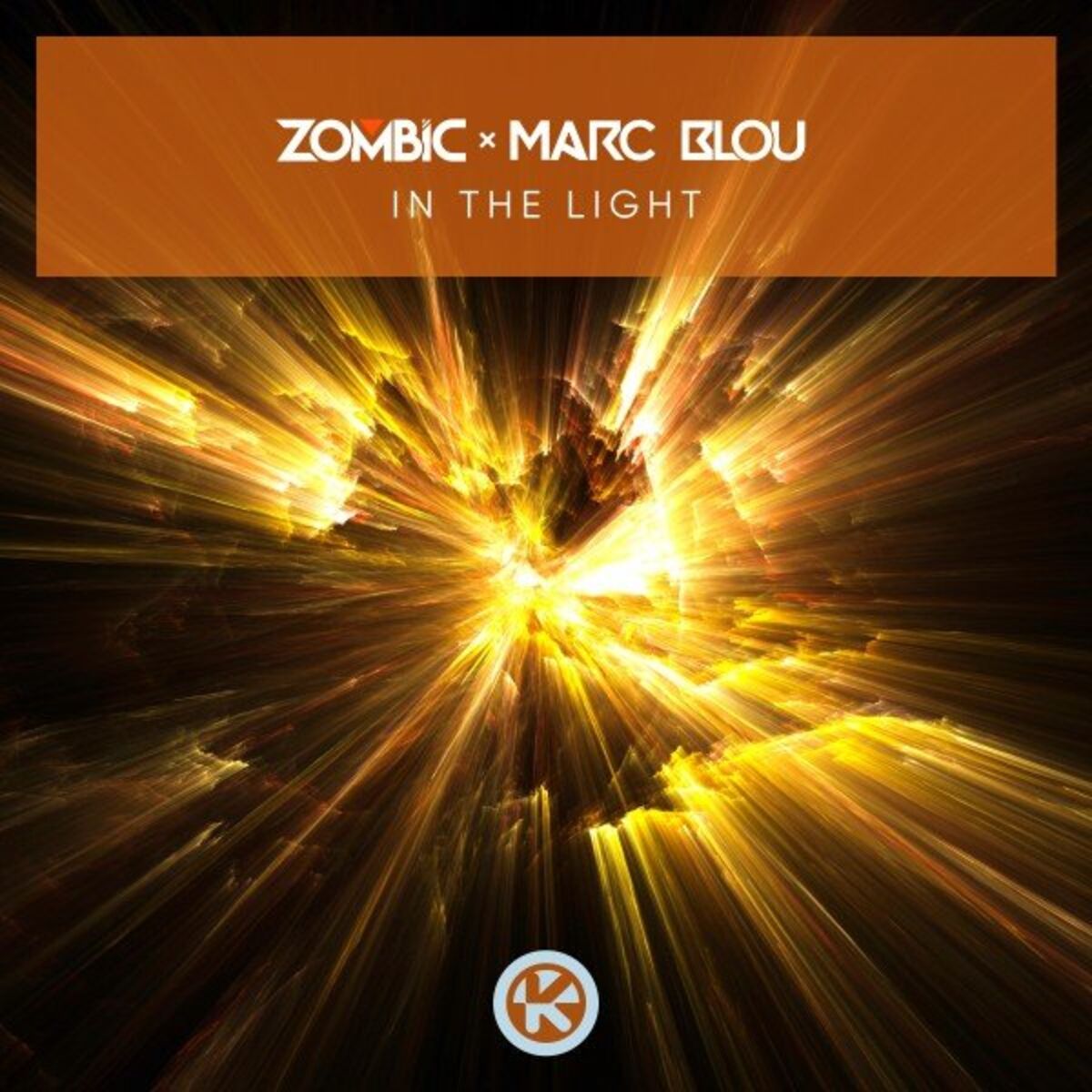 Album cover of In the Light