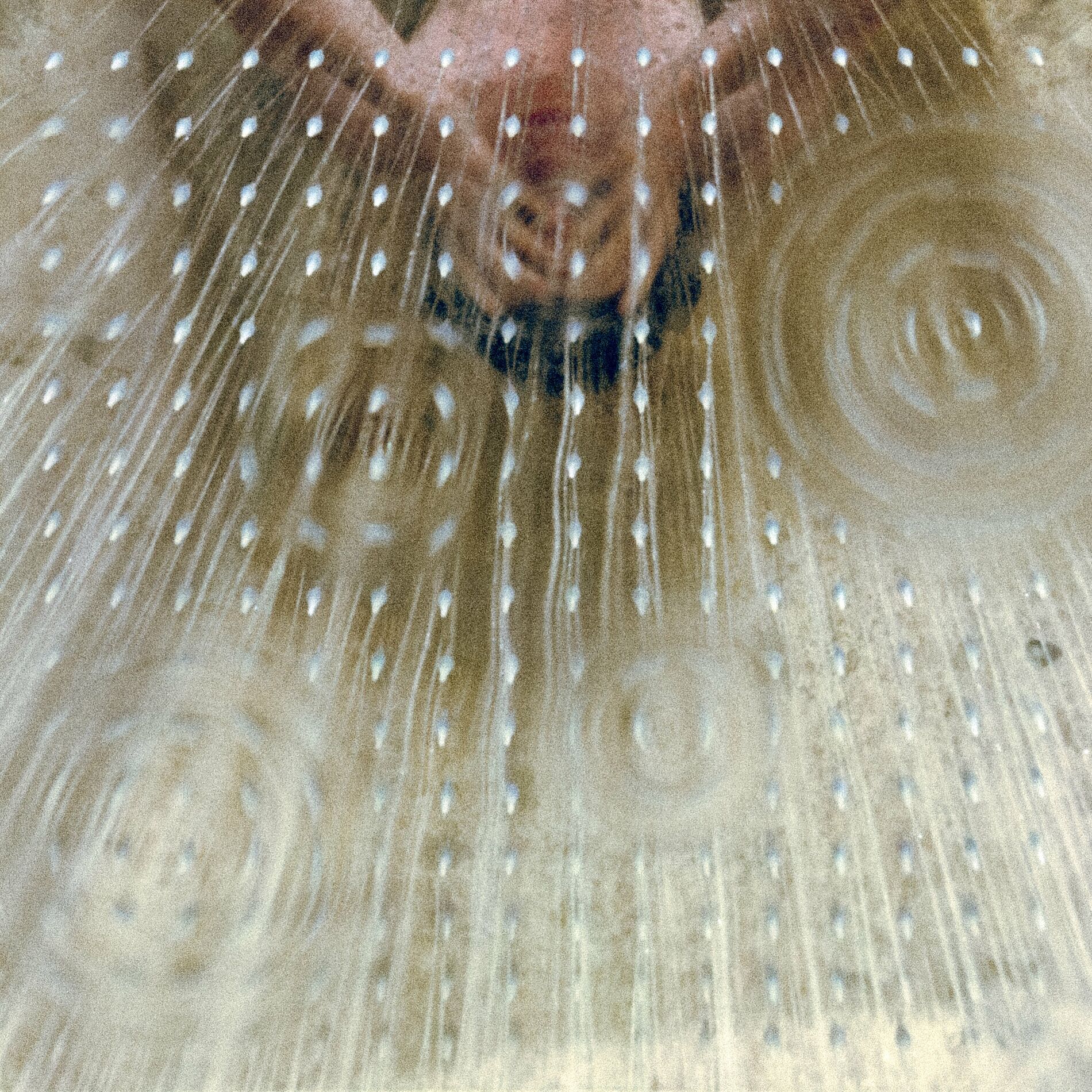 Album cover of Lately