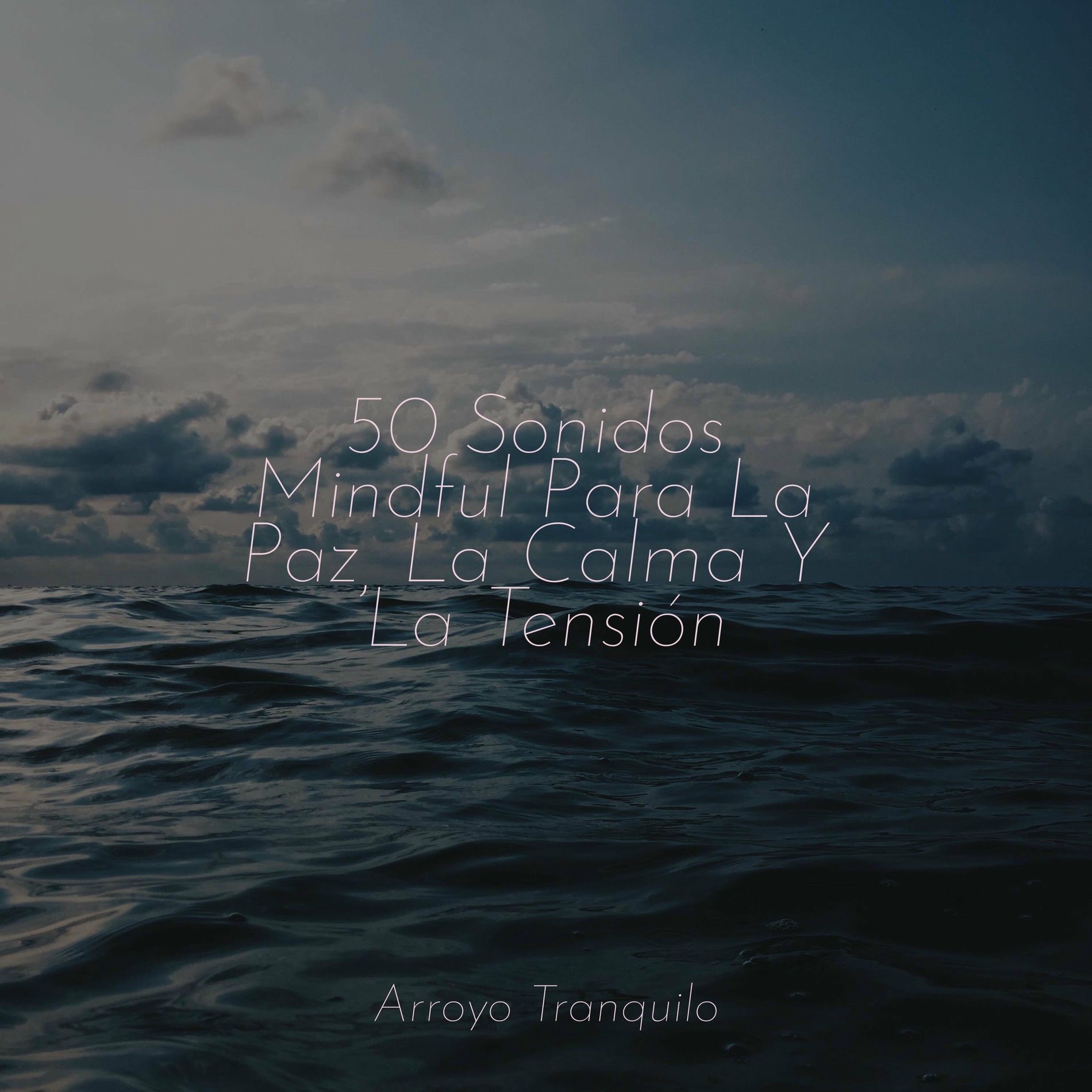Album cover of 50 Sonidos Mindful Para La Paz, La Calma Y La Tensión