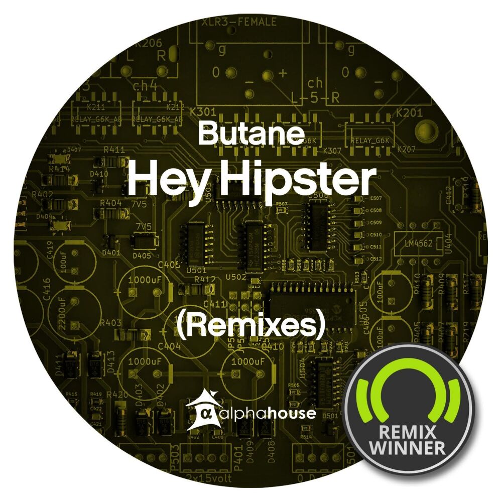Picture of Hey Hipster (Remixes)