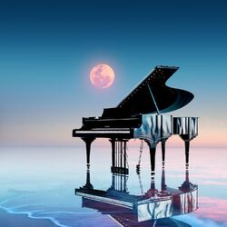 Cover of Reflections