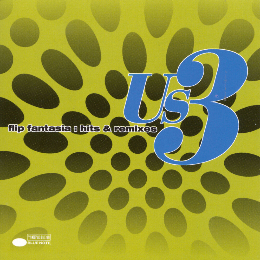 Picture of Flip Fantasia: Hits & Remixes