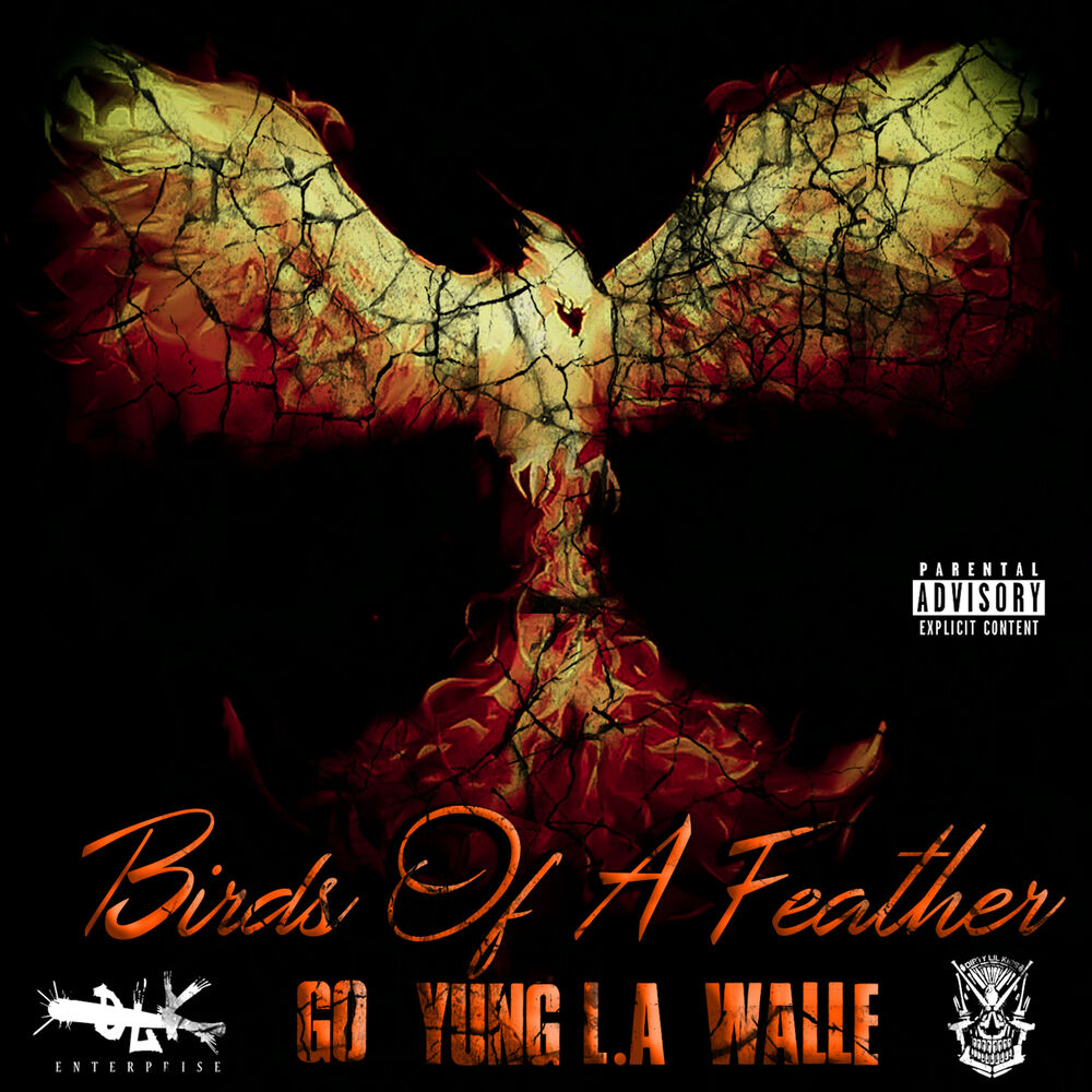 Picture of Birds of Feather