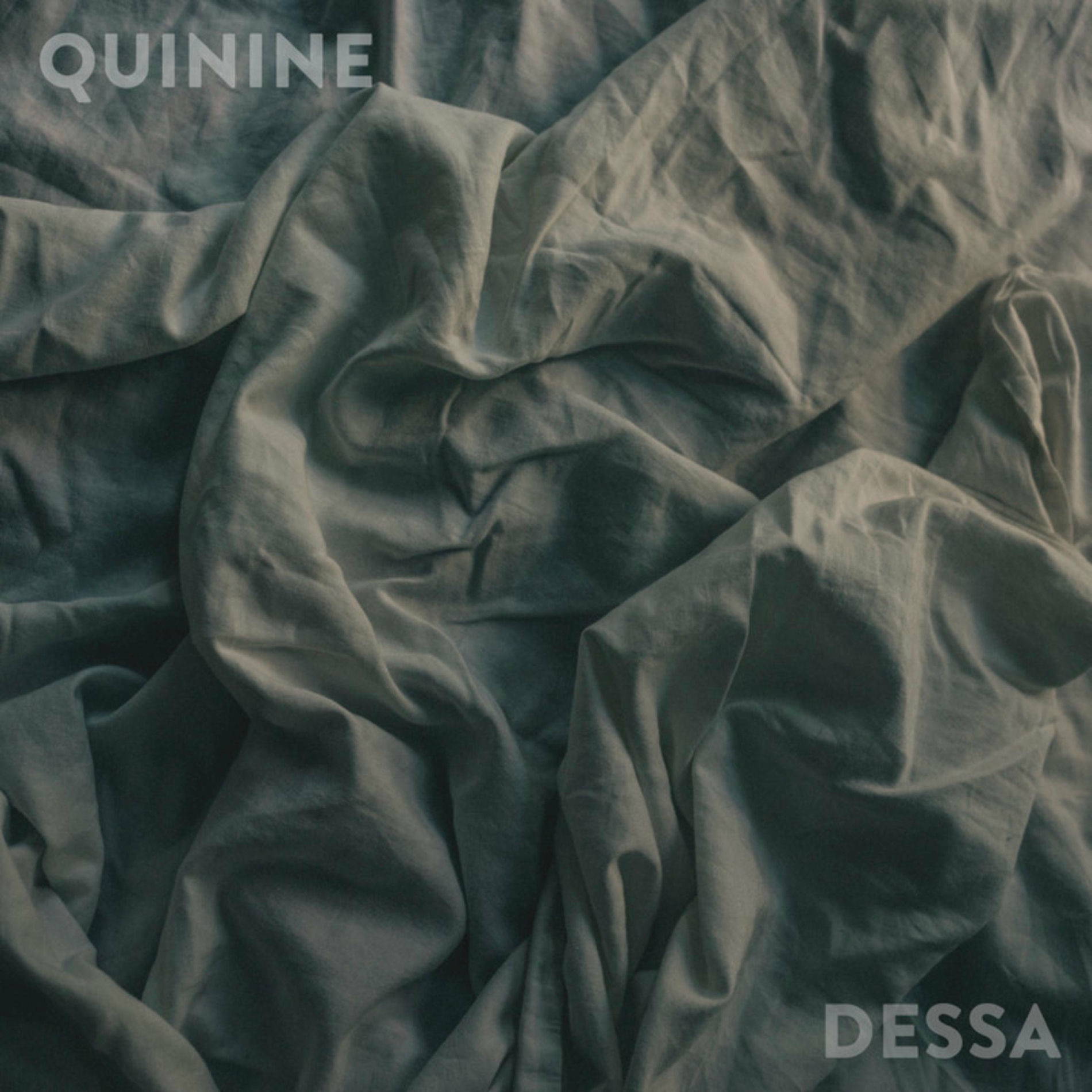 Album cover of Quinine