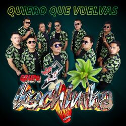 Cover of Quiero Que Vuelvas