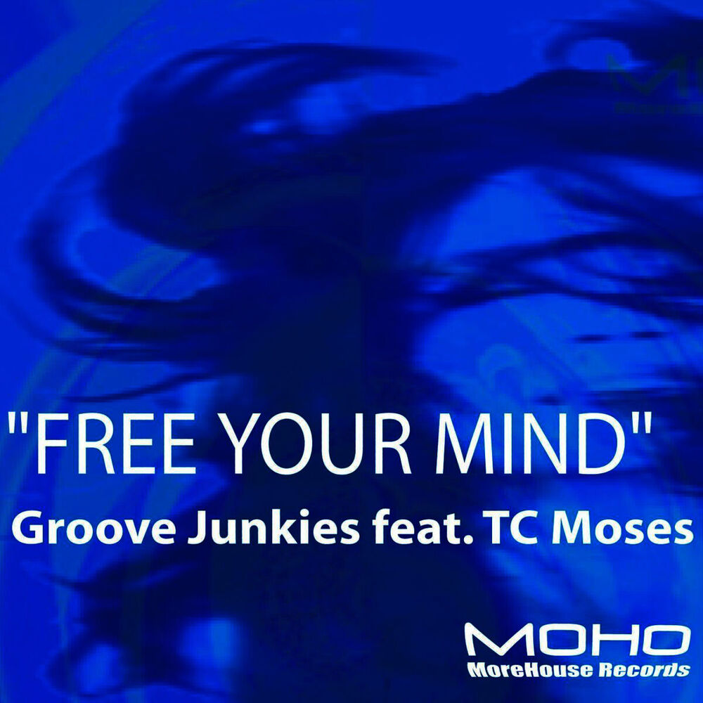 Picture of Free Your Mind (feat. TC Moses)