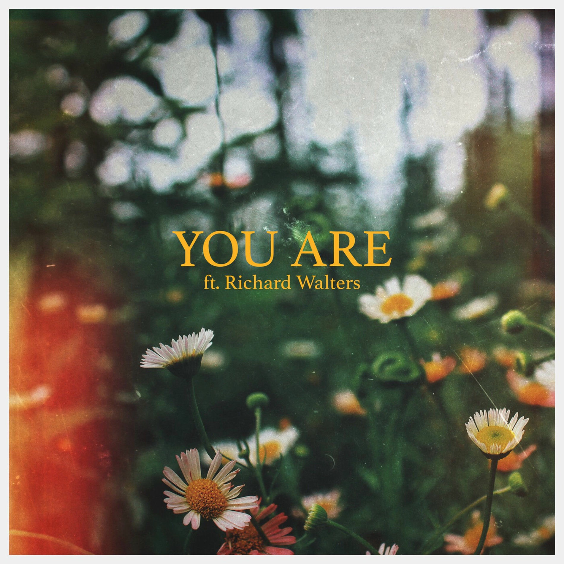 Album cover of You Are
