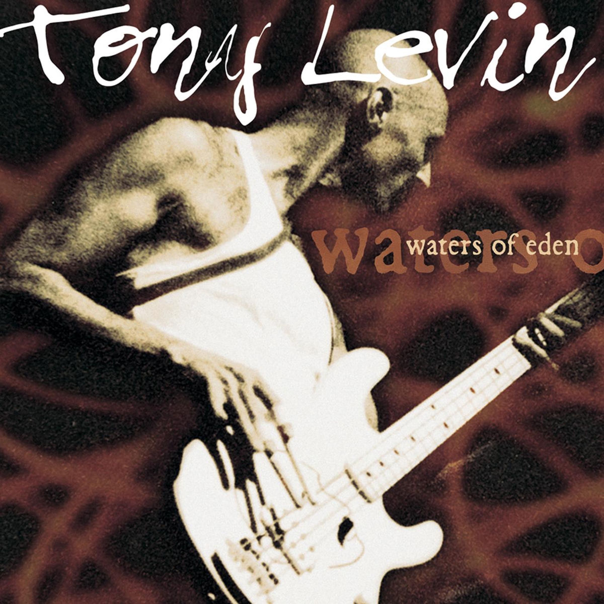 Tony Levin: albums, songs, concerts | Deezer