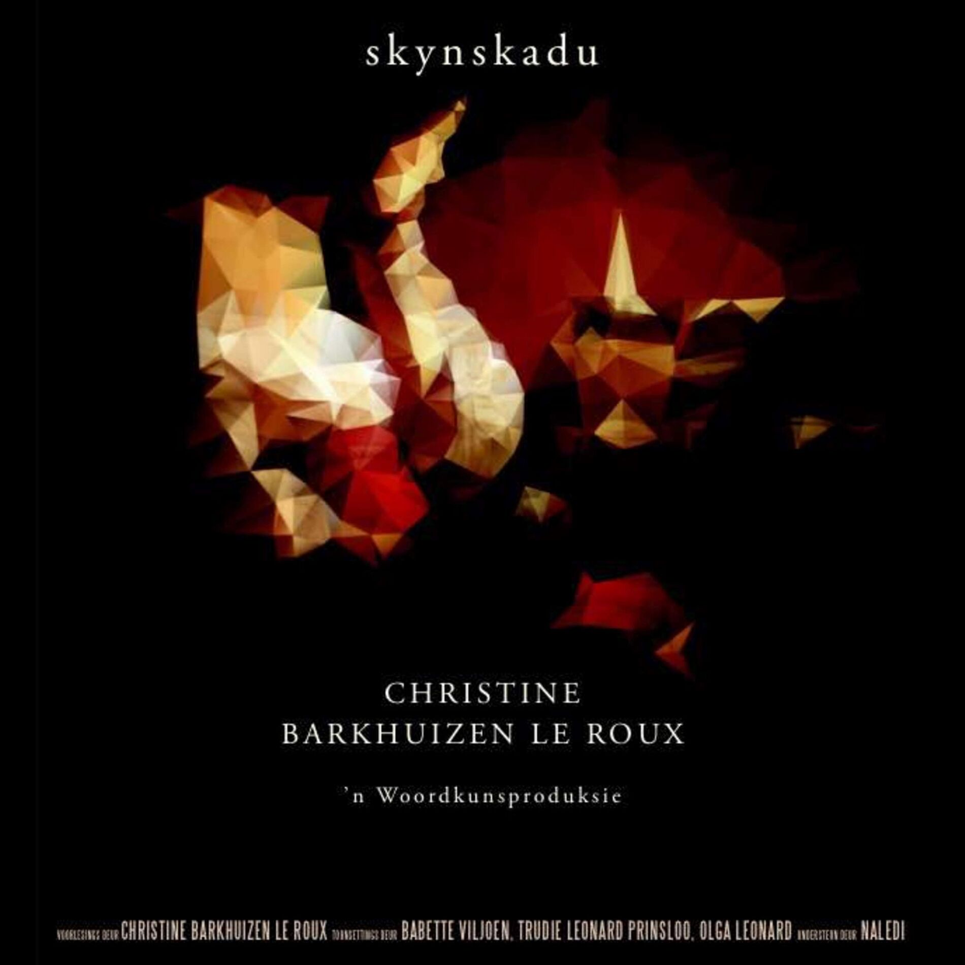 Album cover of Skynskadu