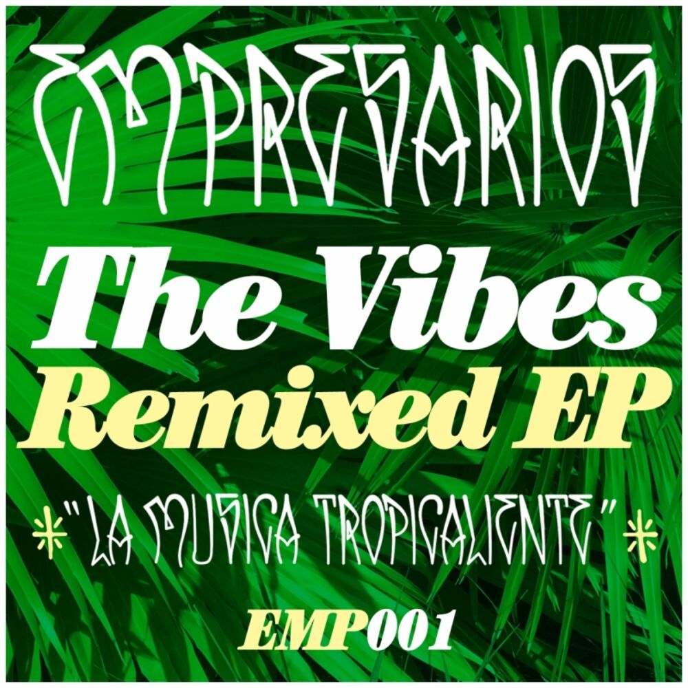 Picture of The Vibes Remixed EP