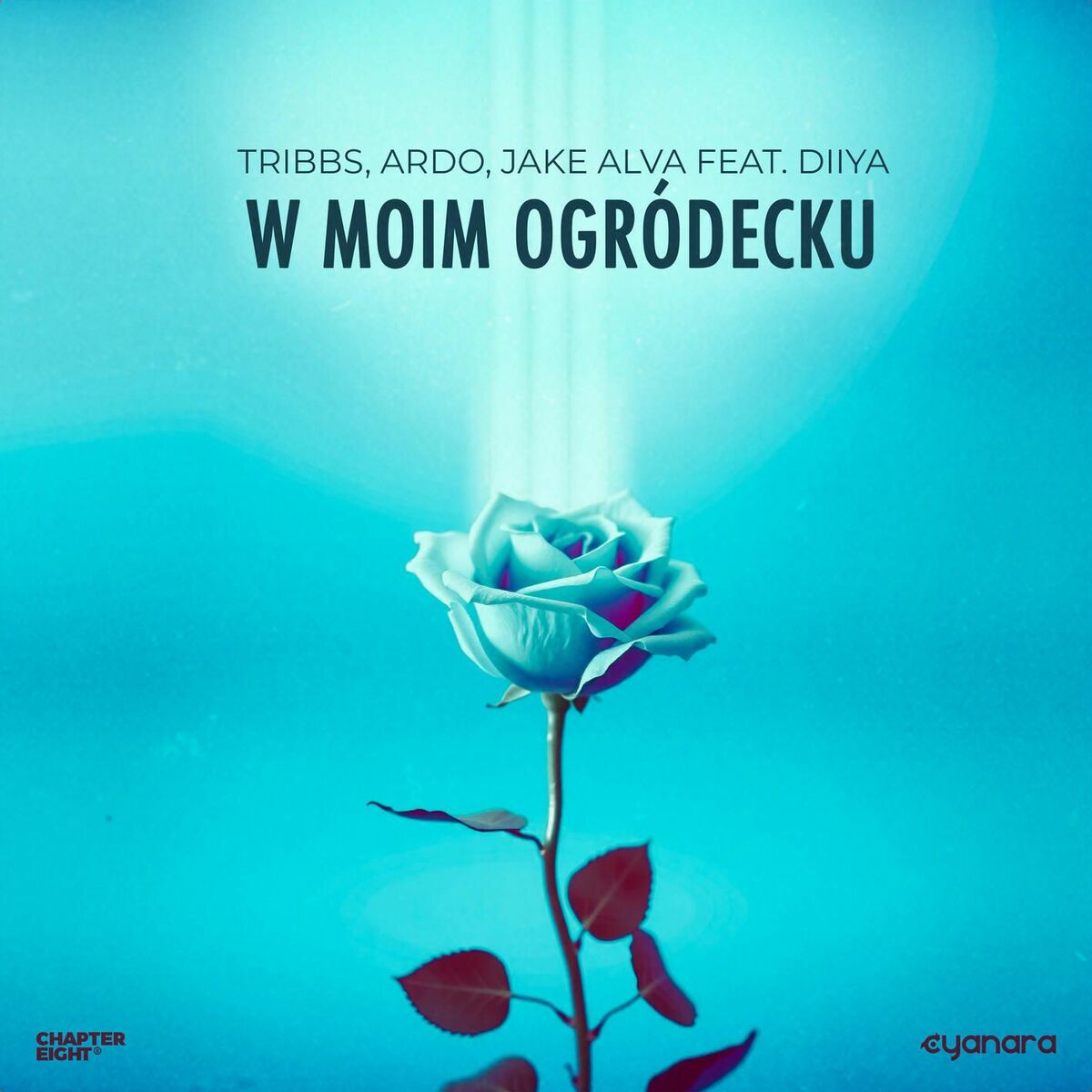 Album cover of W Moim Ogródecku (feat. Diiya)