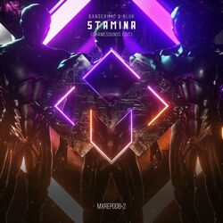 Cover of Stamina (Shamesounds Edit)
