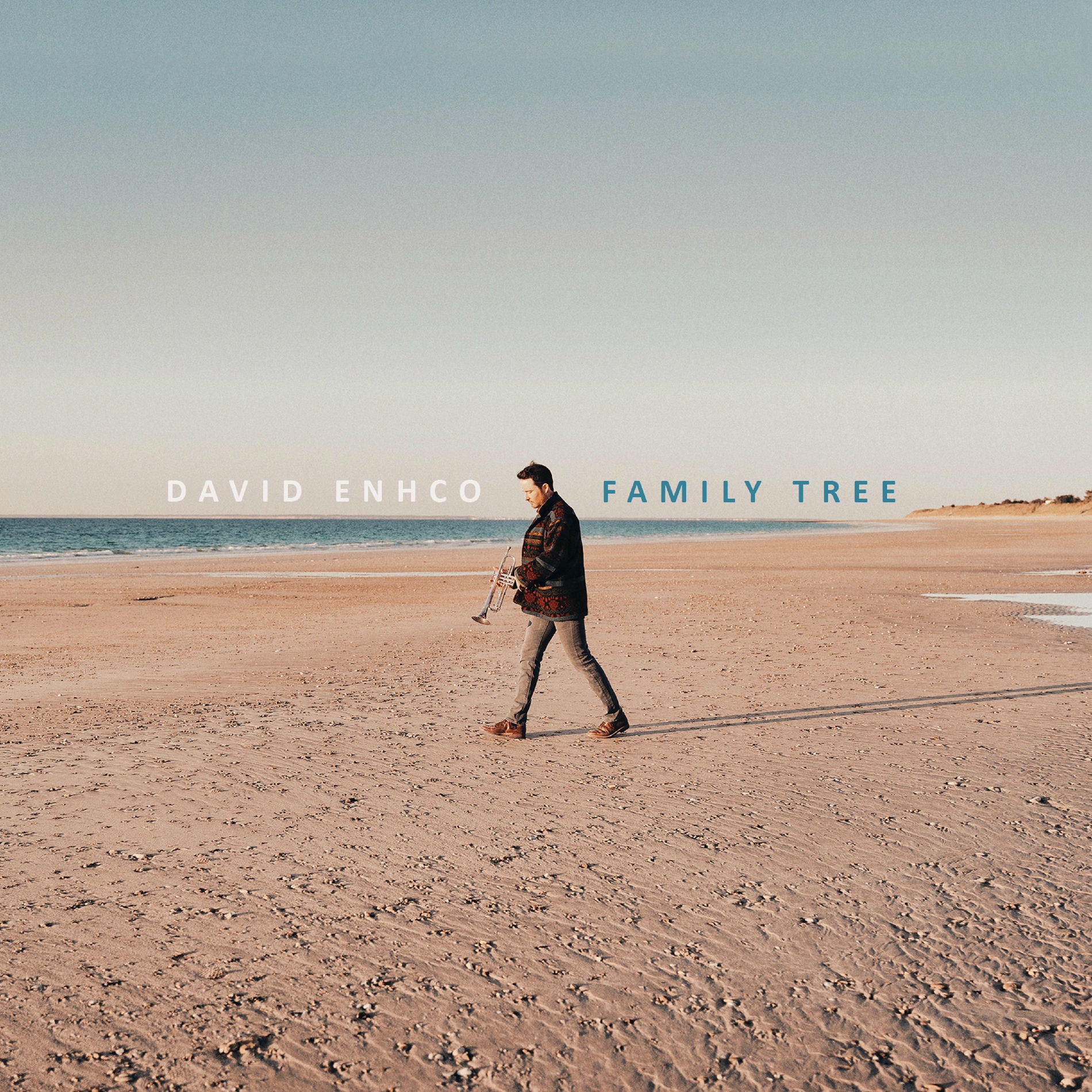 Album cover of Family Tree