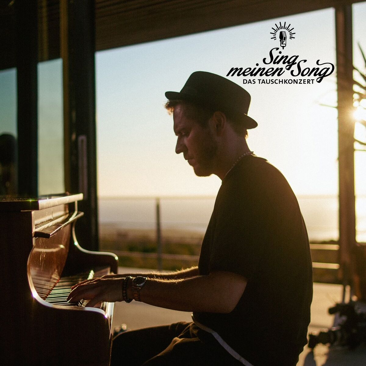 Album cover of Flugmodus (aus 