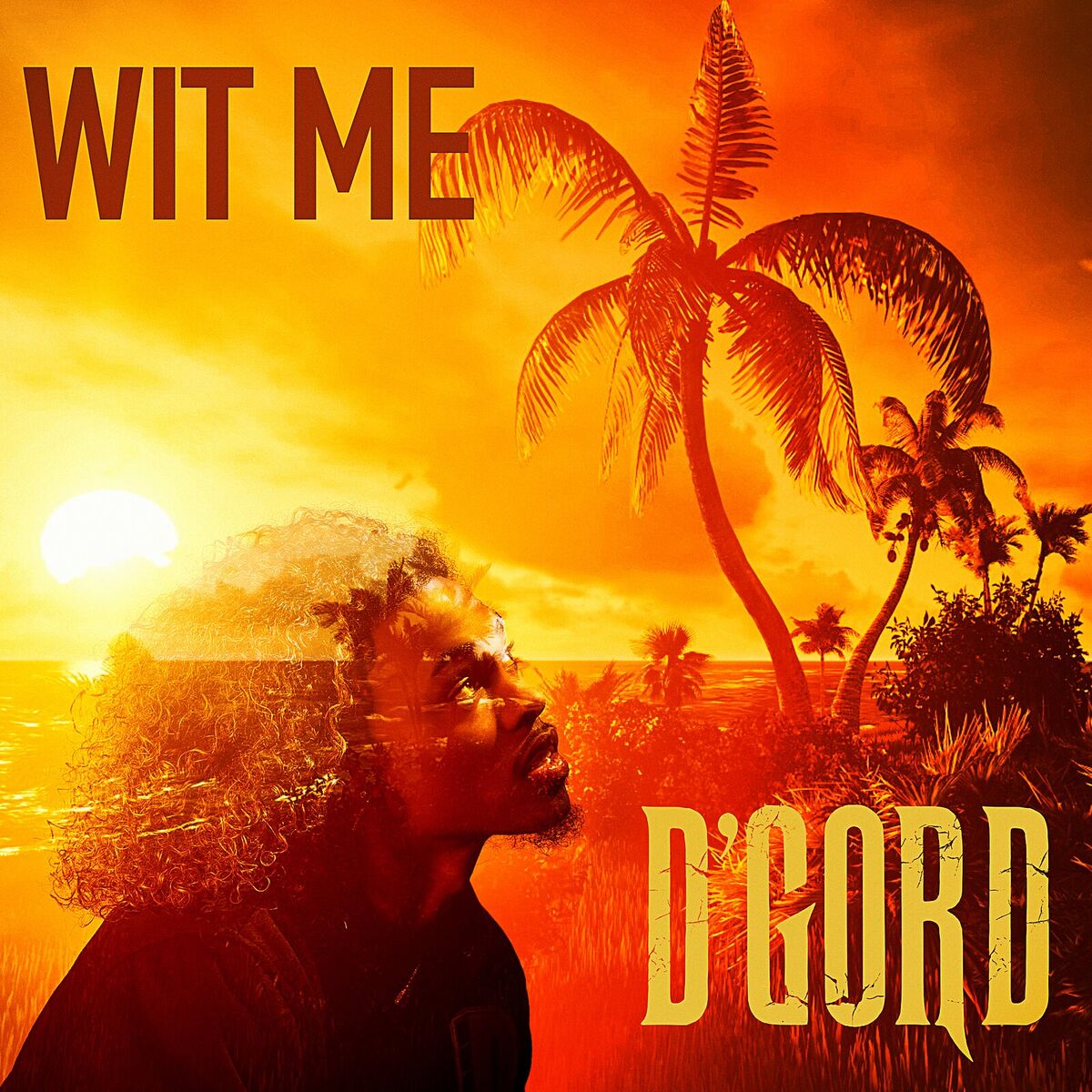 Album cover of Wit Me