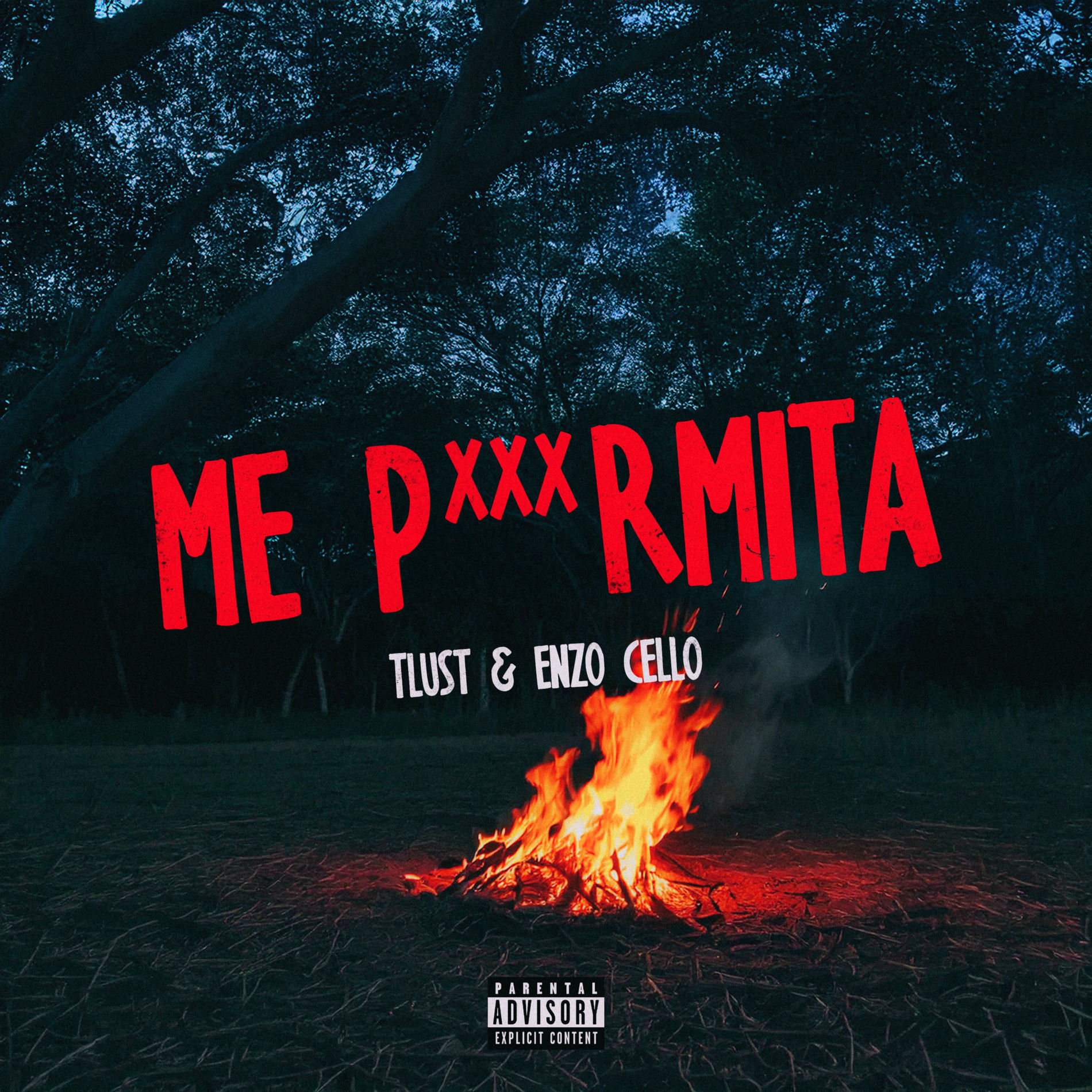 Album cover of Me Permita