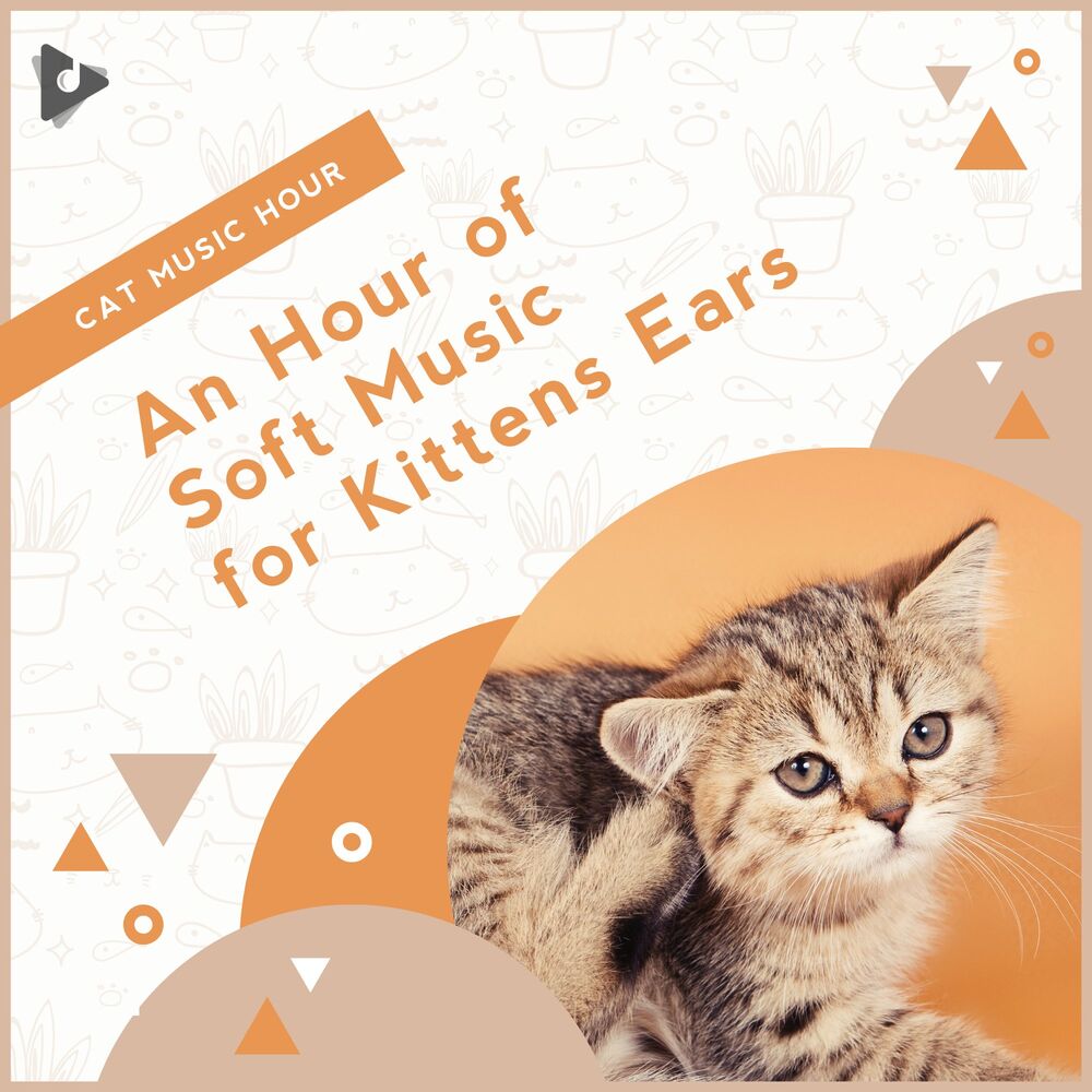 Picture of An Hour of Soft Music for Kittens Ears