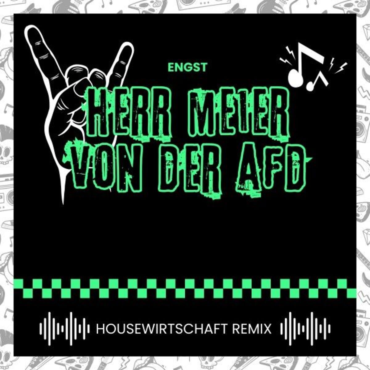 Album cover of Herr Meier von der AfD (Housewirtschaft Remix)