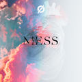 Mess
