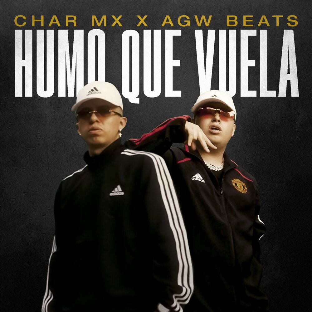 Picture of Humo Que Vuela
