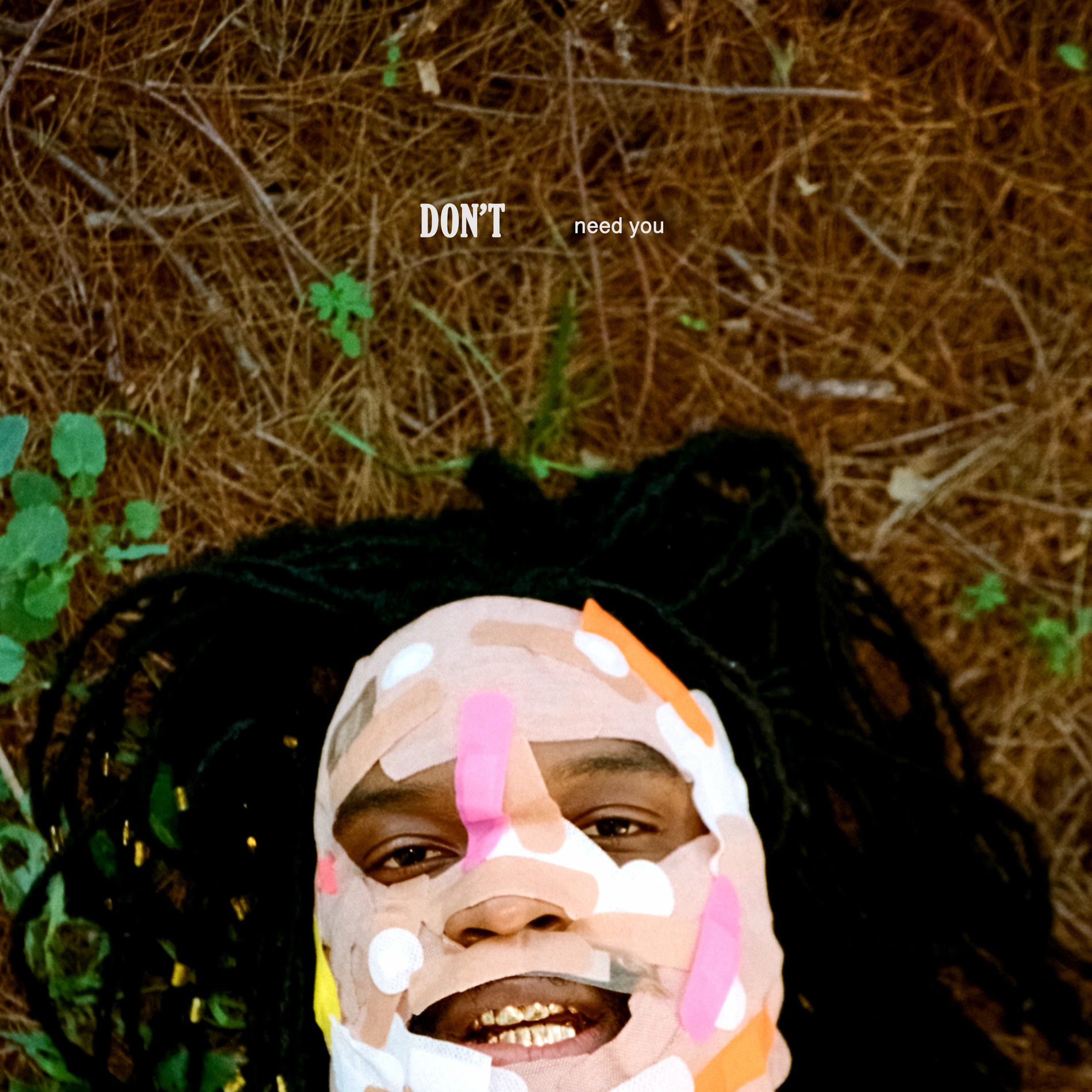 Album cover of Don't Need You