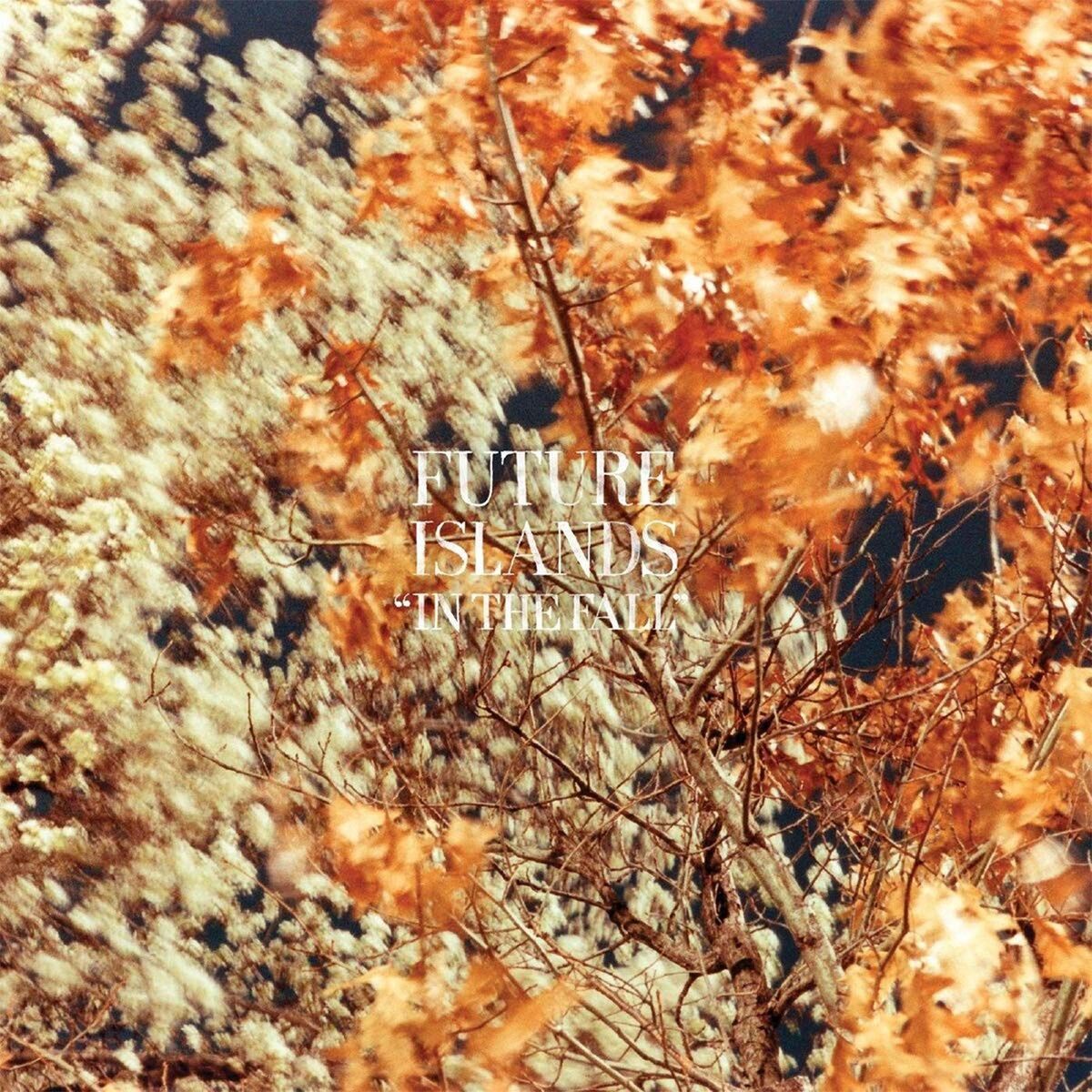 Album cover of In the Fall