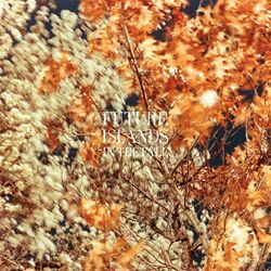 Cover of In the Fall