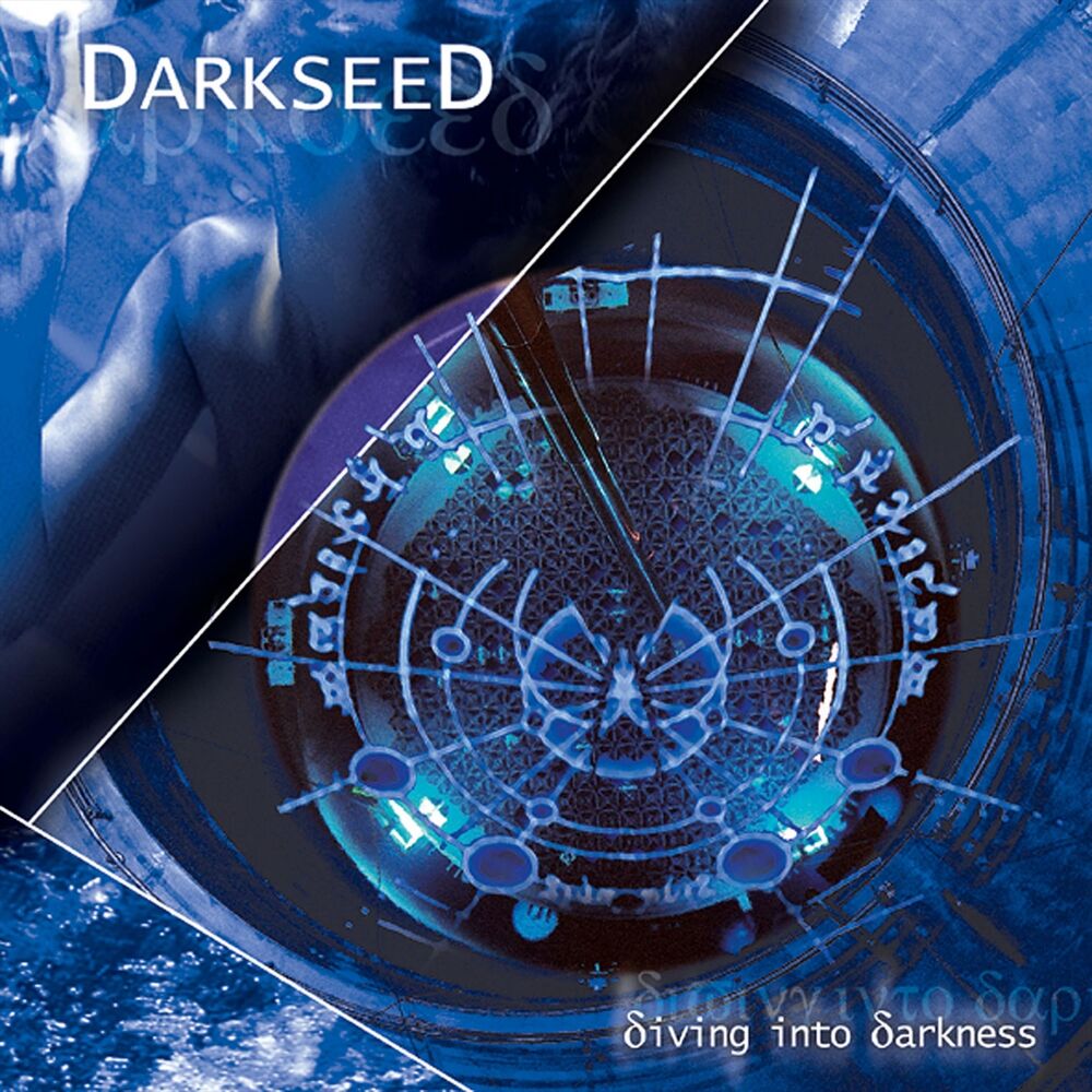 Picture of Diving into Darkness