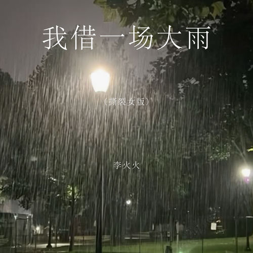 我借一场大雨 (撕裂女版)