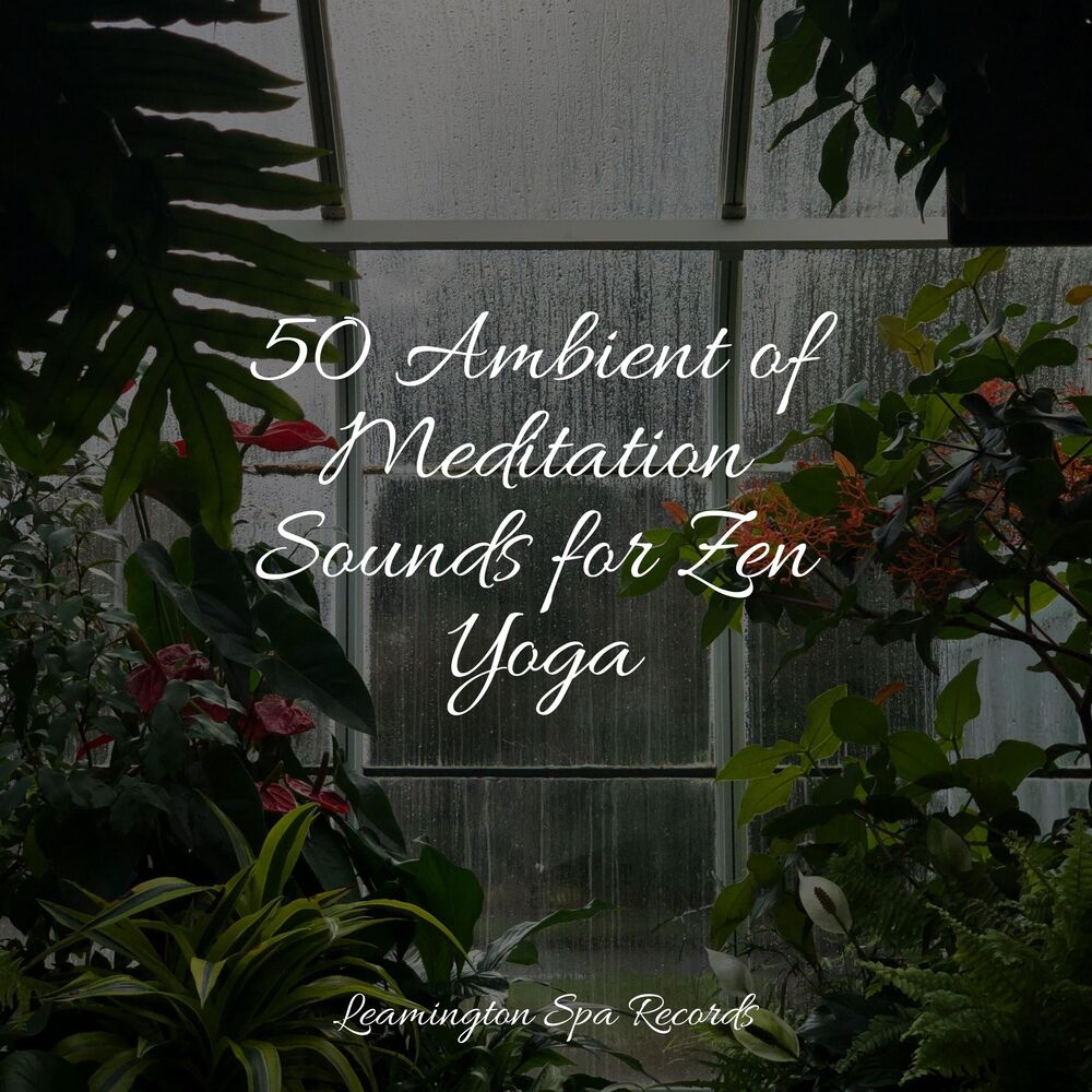 Picture of 50 Ambient of Meditation Sounds for Zen Yoga