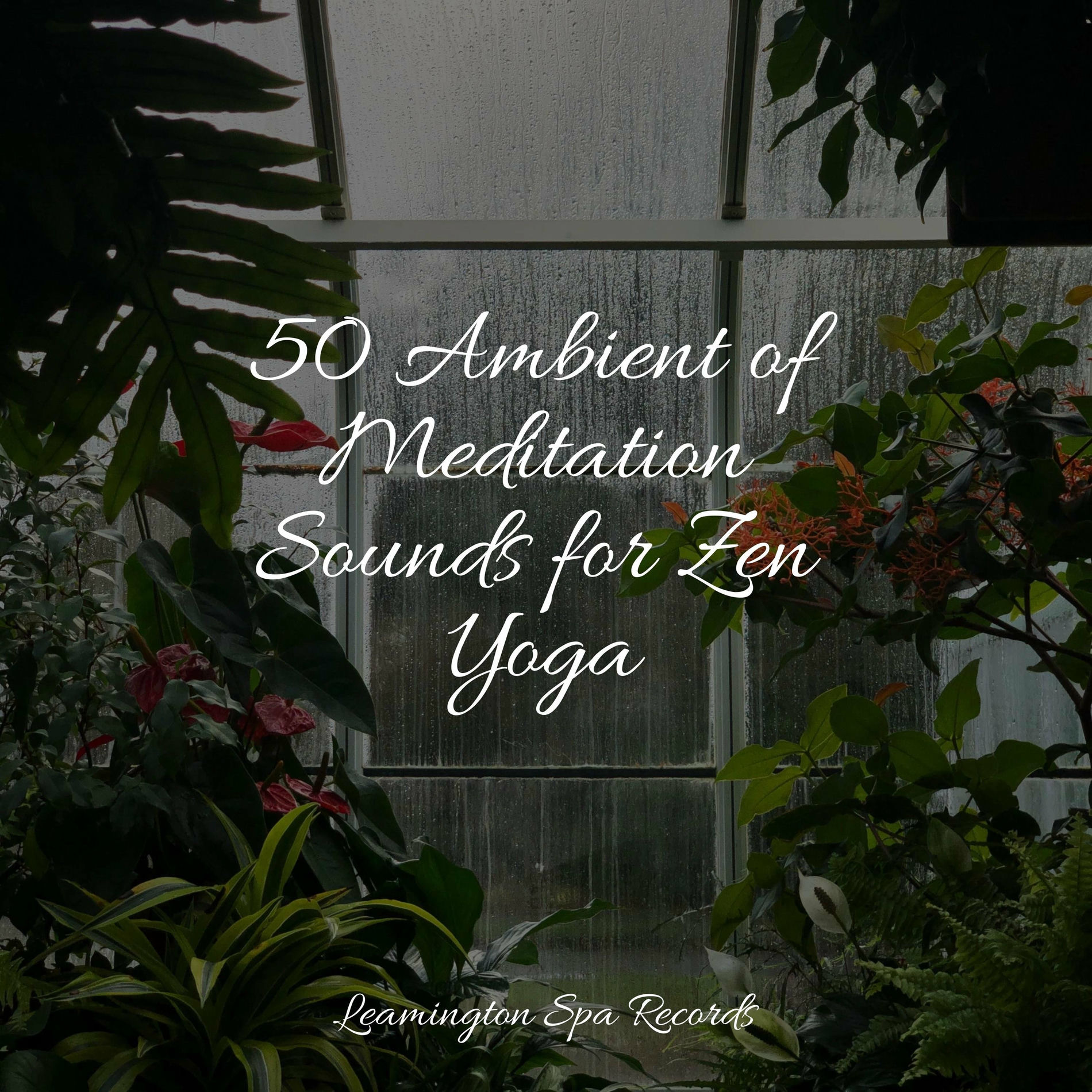 Album cover of 50 Ambient of Meditation Sounds for Zen Yoga