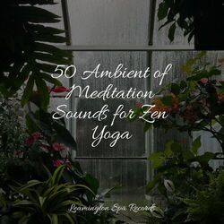 Cover of 50 Ambient of Meditation Sounds for Zen Yoga
