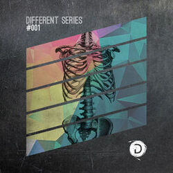Cover of Different Series #001