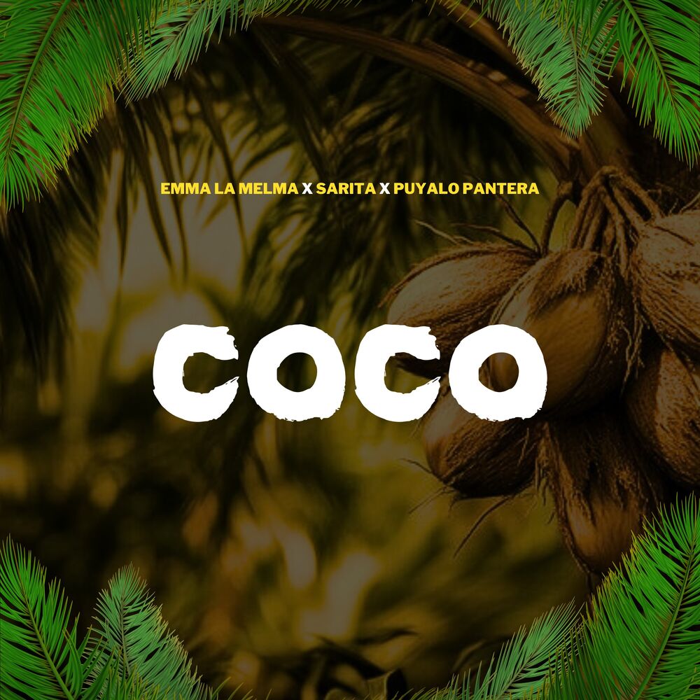 Picture of Coco