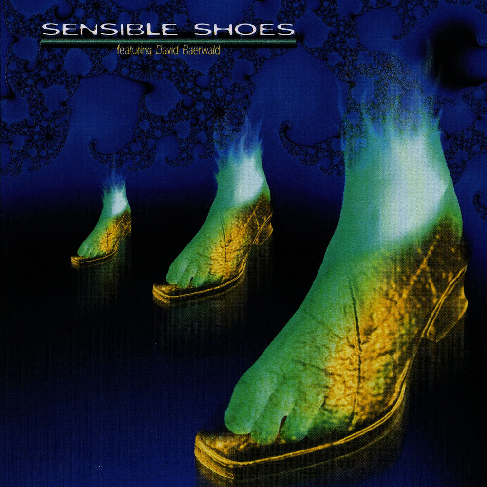 Picture of Sensible Shoes