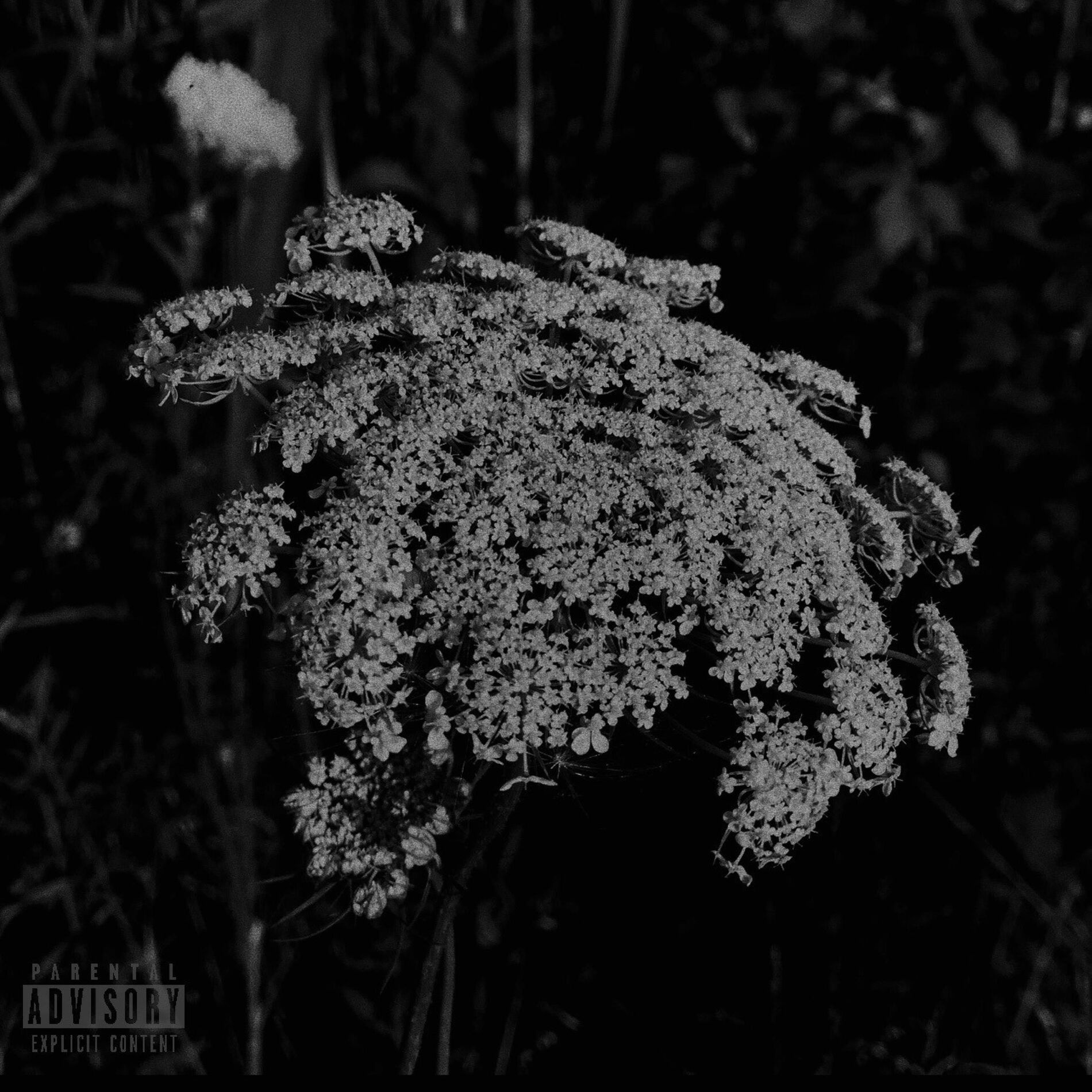 Album cover of Flowers When The Rain Gone (feat. Mijo & twoTurbo)