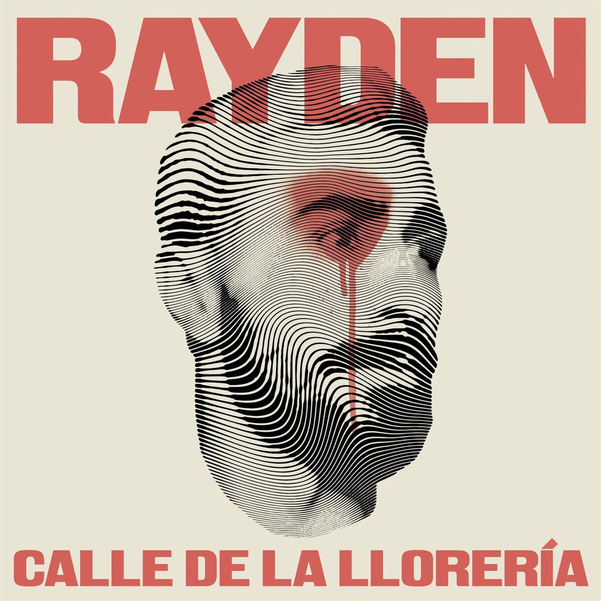 Album cover of Calle de la Llorería