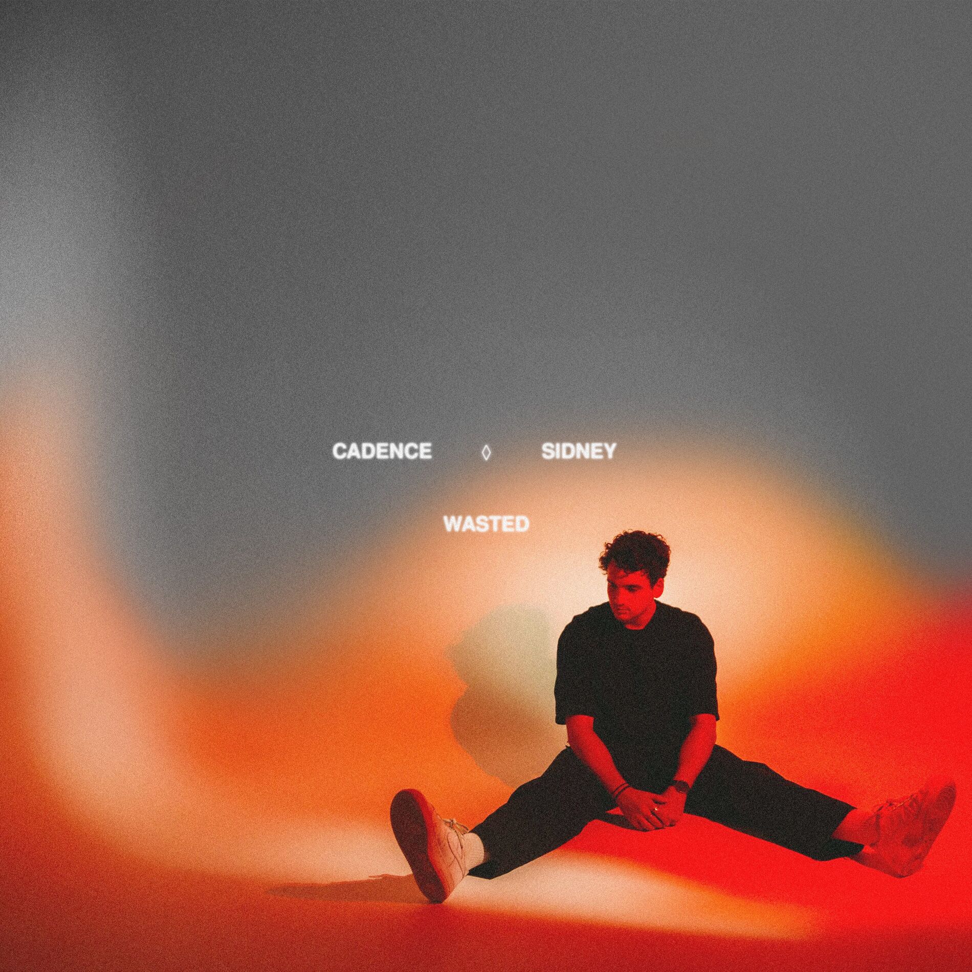 Album cover of Wasted