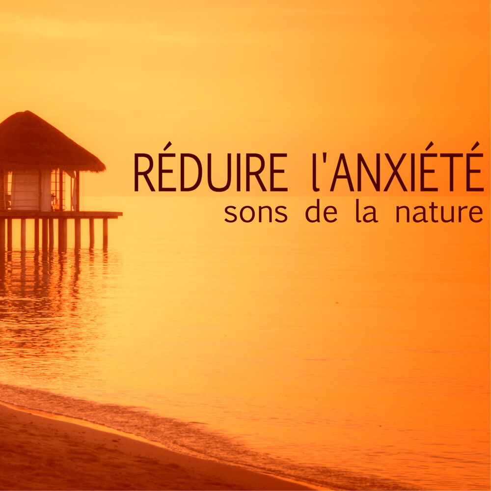 Picture of Réduire l'Anxiété - Oasis de paix avec sons de la nature, musique pour dormir