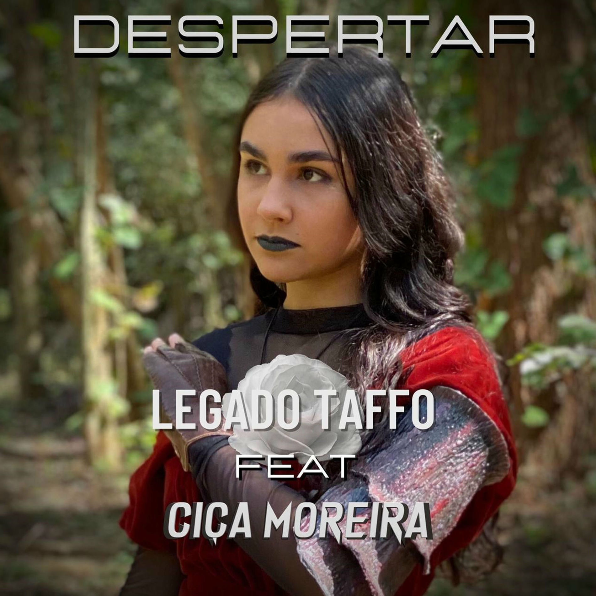 Album cover of Despertar