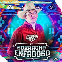 Cover of Borracho Enfadoso
