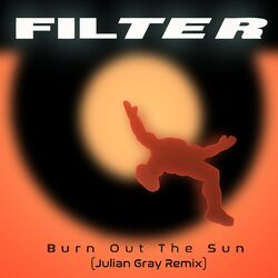 Cover of Burn Out the Sun (Julian Gray Remix)
