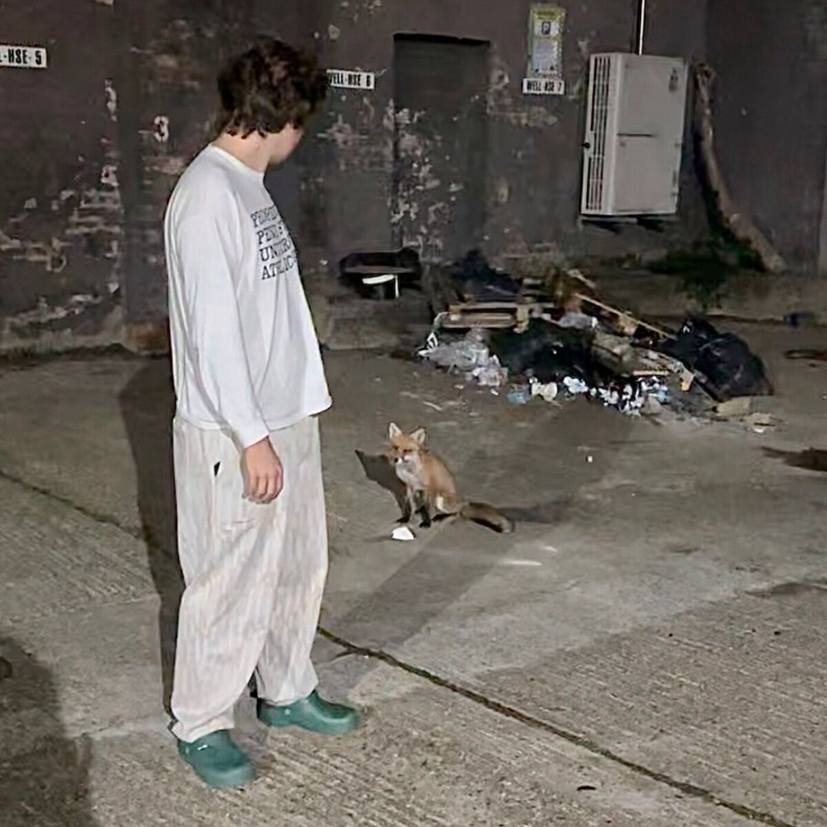 Album cover of Rascal